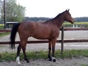 Photo de profil de didoune95