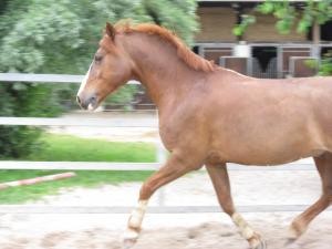 Photo de profil de valentinec