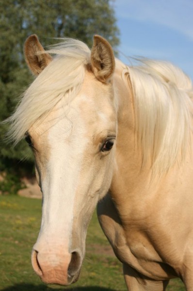 Photo de profil de vifdor59