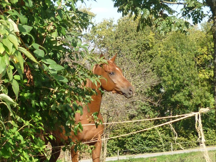 Photo de profil de auroreraja