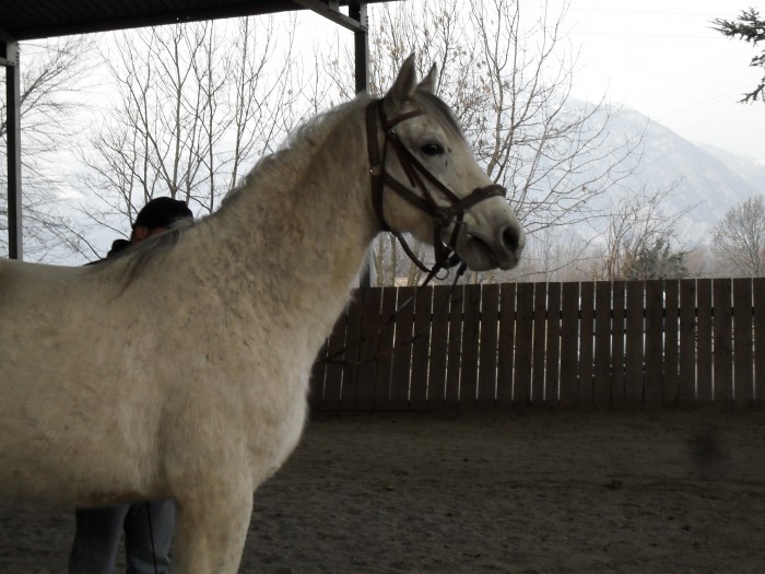 Photo de profil de felicievercors