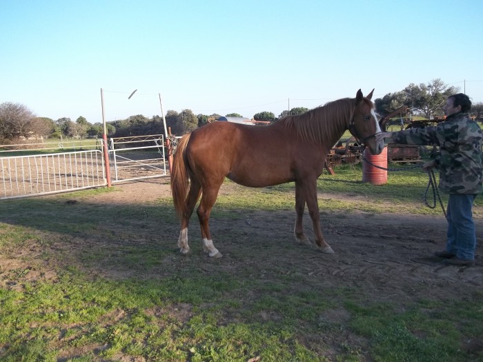 Photo de profil de merca