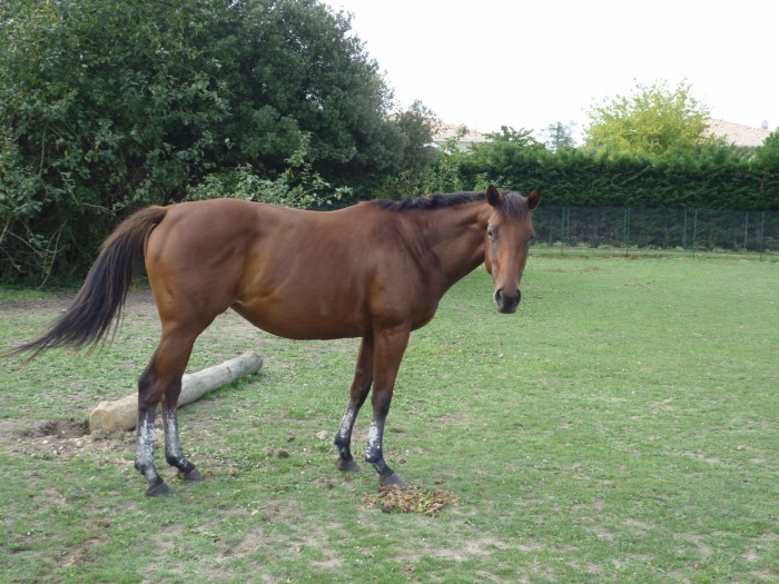Photo de profil de camille003