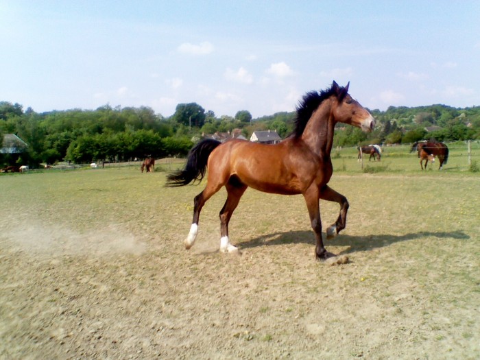 Photo de profil de claire.boy