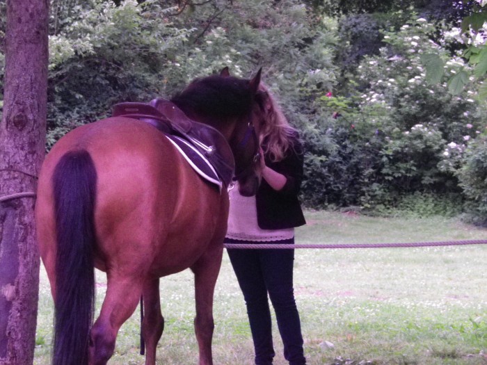 Photo de profil de horselife69