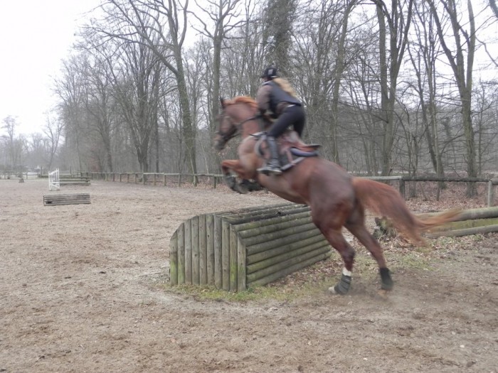 Photo de profil de kellyb