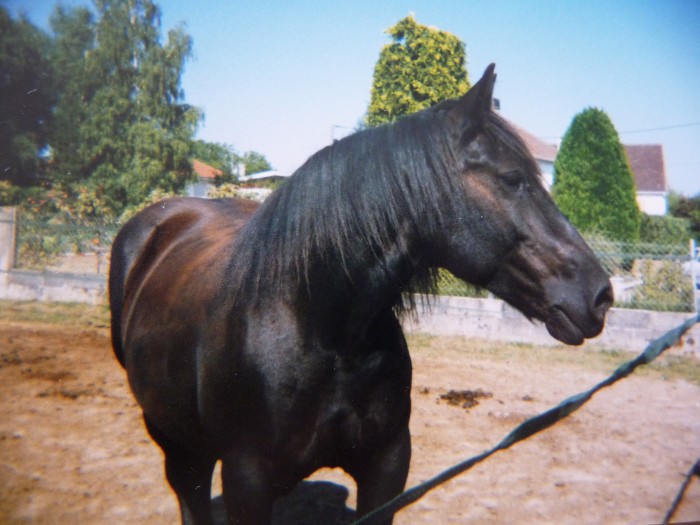 Photo de profil de dom89