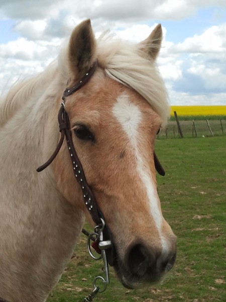 Photo de profil de treceuse