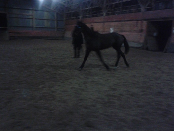 Photo de profil de melvira