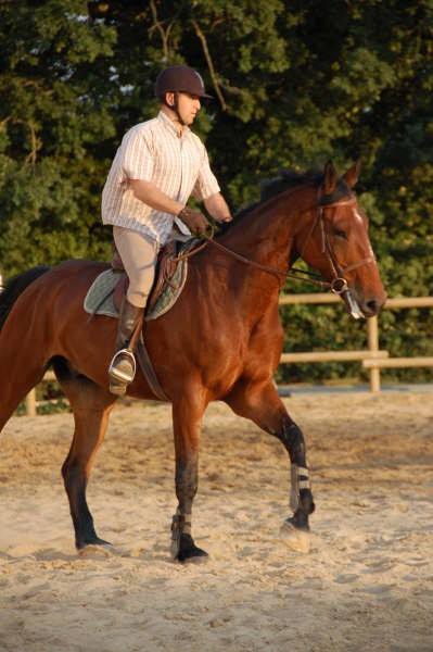 Photo de profil de fanfan85