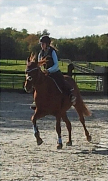 Photo de profil de cavaliere75