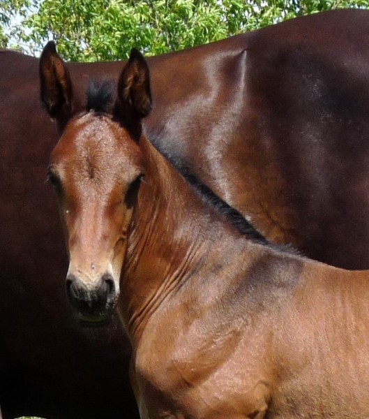 Photo de profil de 9999