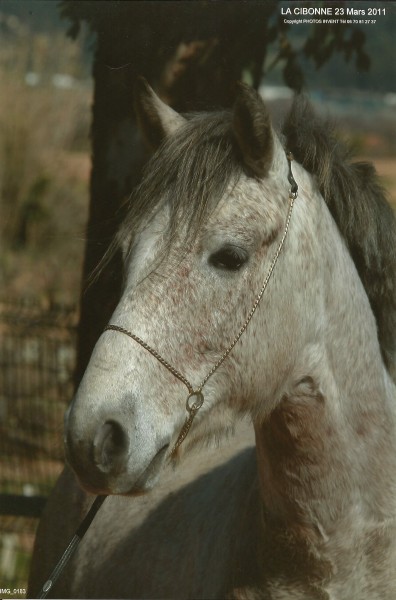 Photo de profil de lauraa83