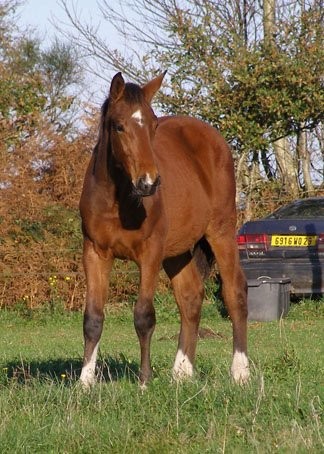 Photo de profil de fanlove