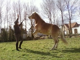 Photo de profil de osmoze62150