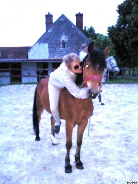 Photo de profil de mikadodesvignes