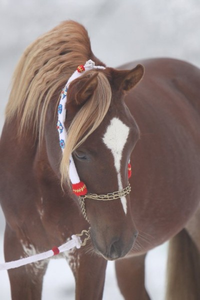 Photo de profil de fahoudini