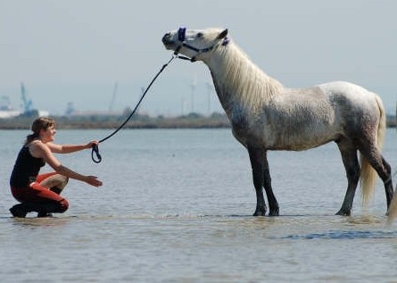 Photo de profil de anais13129