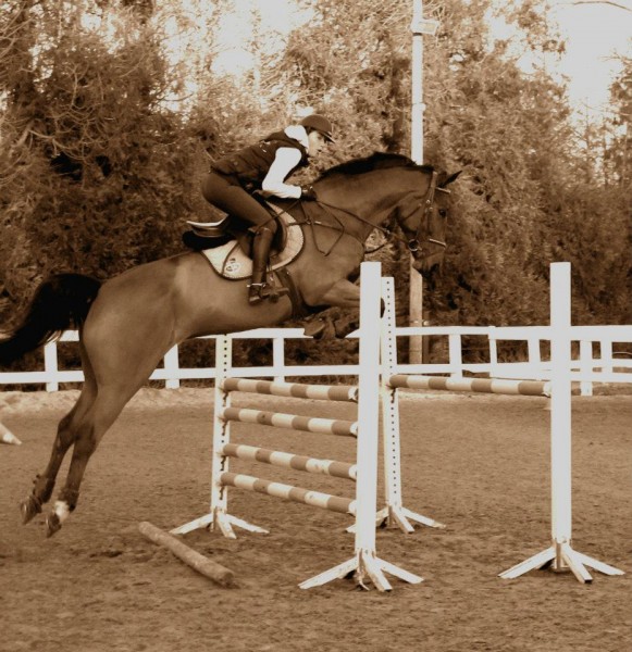 Photo de profil de fandards