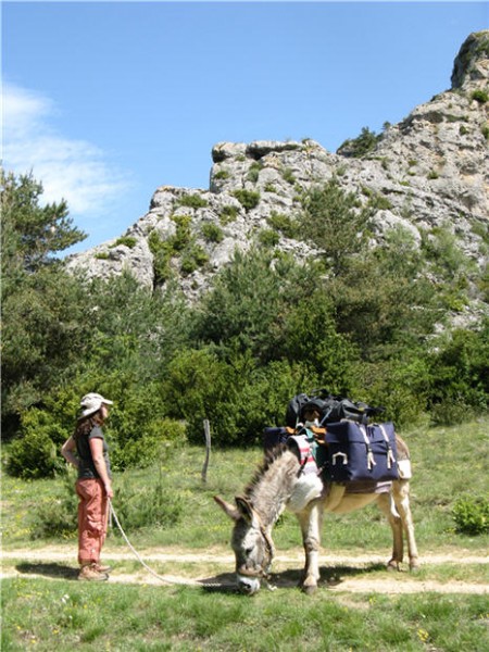 Photo de profil de joliane31