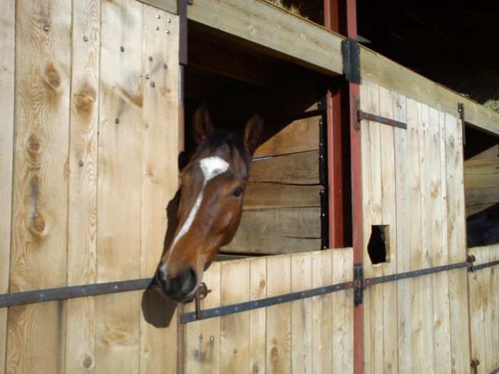 Photo de profil de clairou65