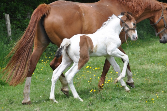 Photo de profil de ouilly