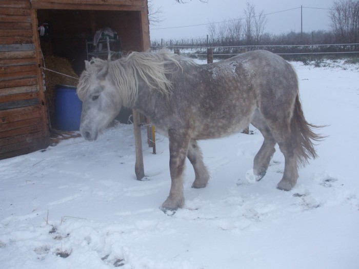 Photo de profil de mariehe33