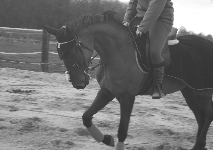 Photo de profil de lilou59232