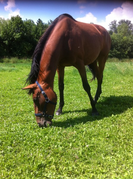 Photo de profil de chloe59297