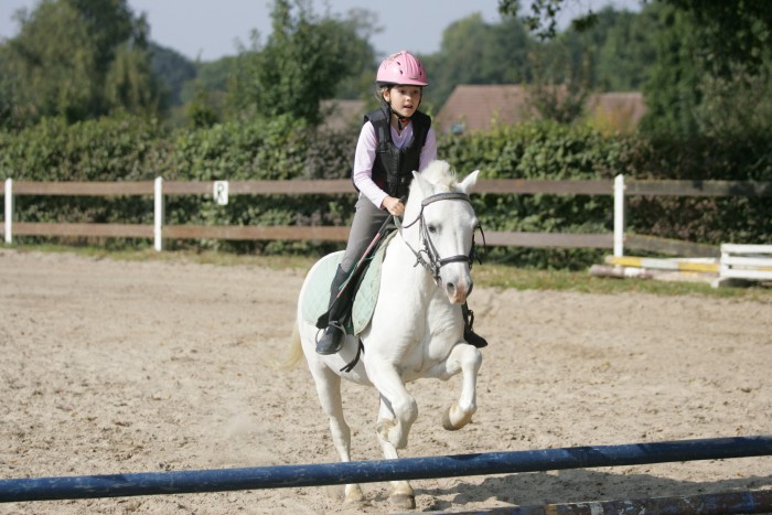 Photo de profil de maestir
