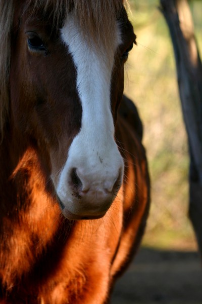 Photo de profil de morgane13920