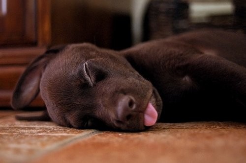 Photo de profil de ouranosequideow