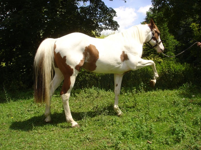 Photo de profil de fizorange