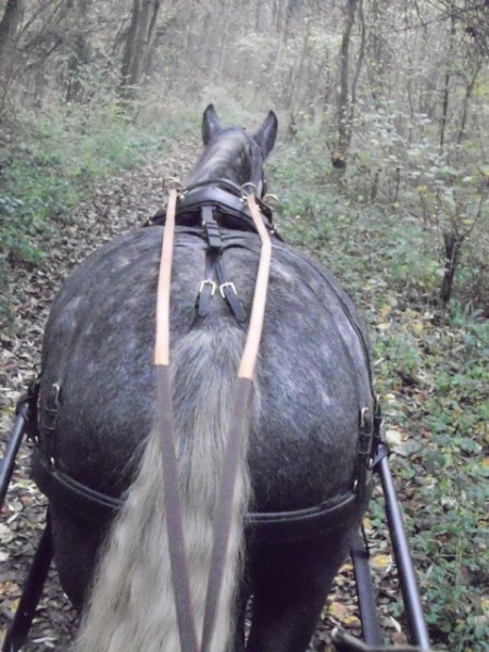 Photo de profil de bouyoute