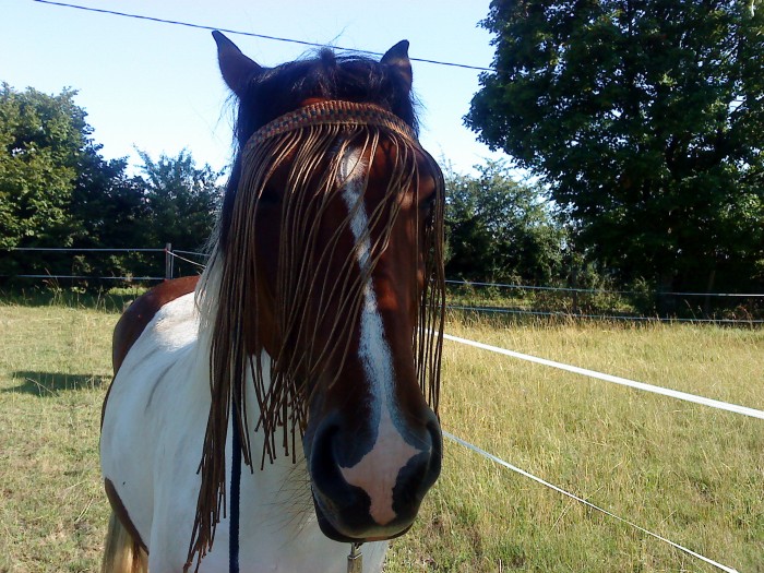 Photo de profil de jesus