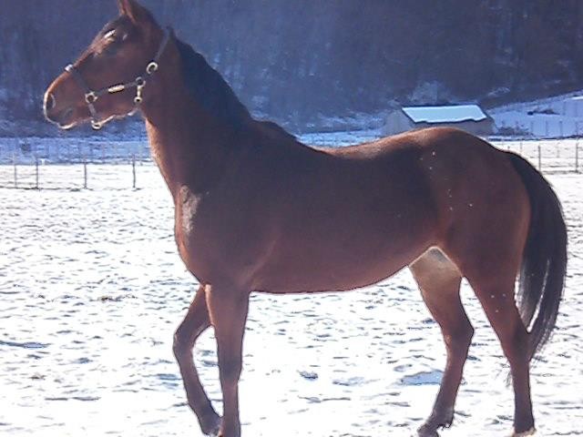 Photo de profil de chacha0708