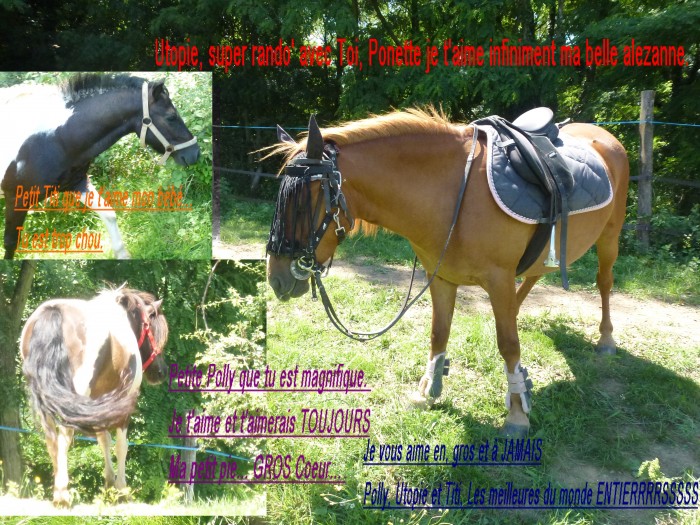 Photo de profil de pollyutopietiti