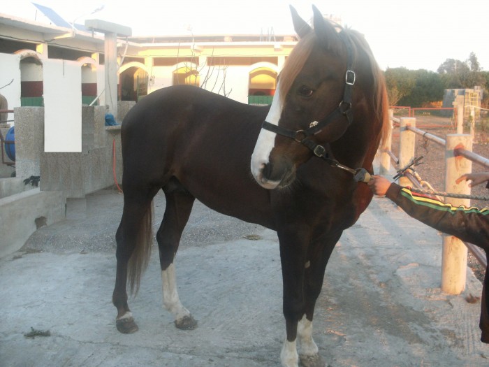 Photo de profil de issoul