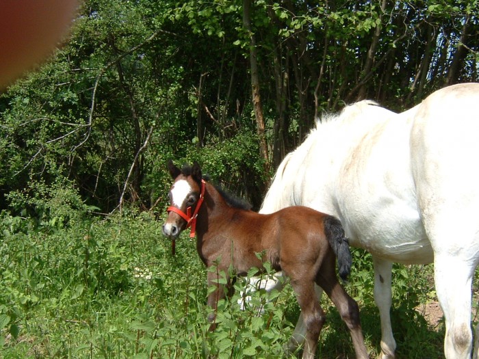 Photo de profil de kevin00