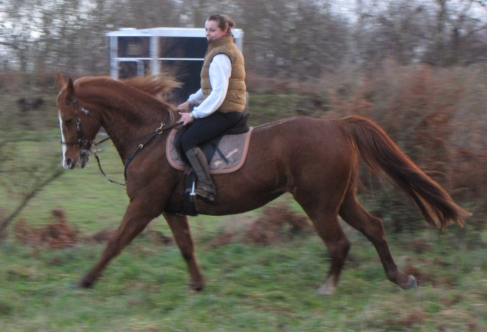 Photo de profil de dralhing50
