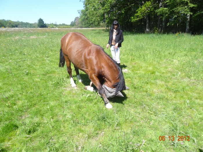 Photo de profil de gavroche44