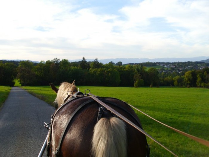 Photo de profil de rosalie37