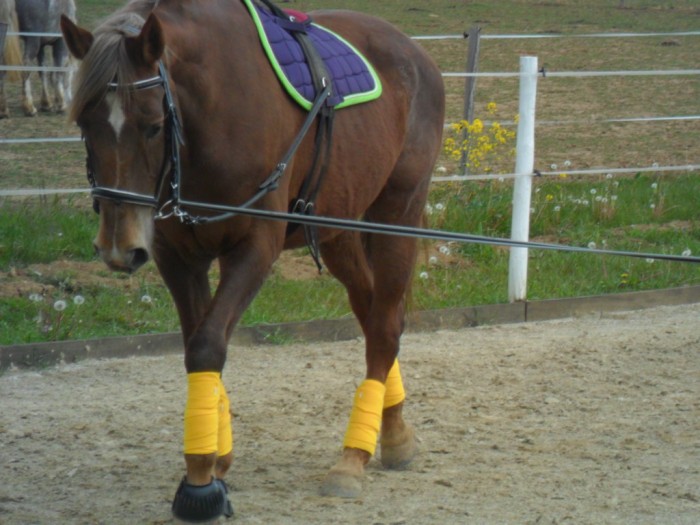 Photo de profil de izara26