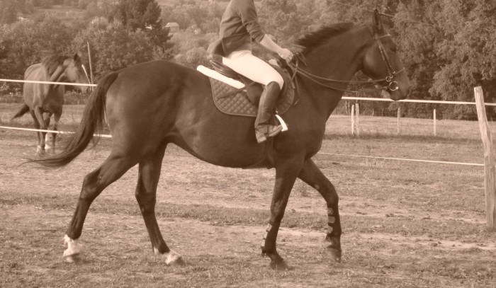 Photo de profil de paulo1978