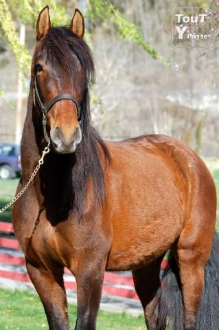 Photo de profil de margauxcheval