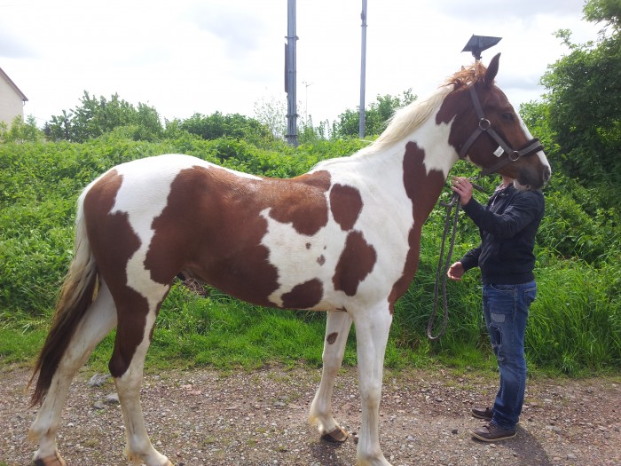 Photo de profil de domso59