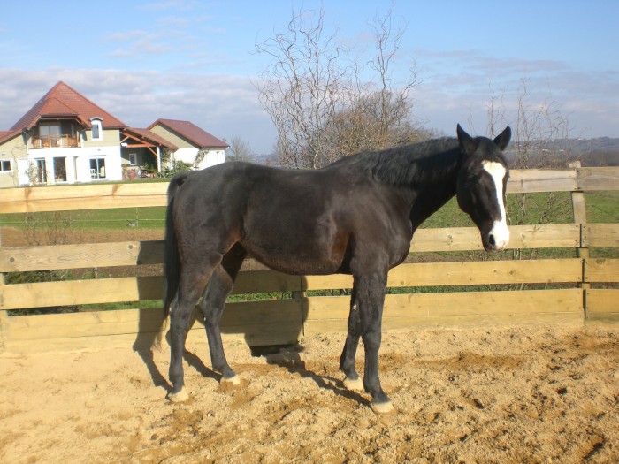 Photo de profil de valo64