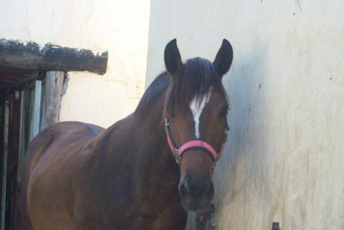 Photo de profil de loupam15
