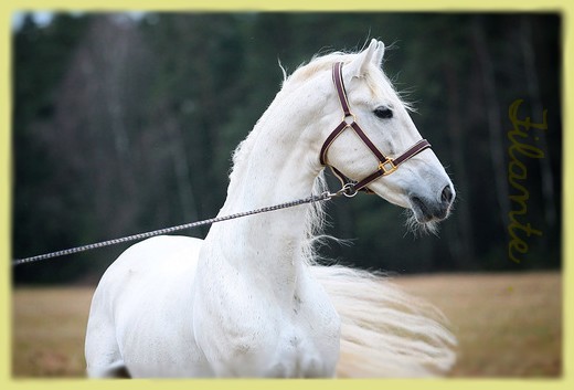Photo de profil de precieuse