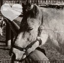 Photo de profil de miltonroulia